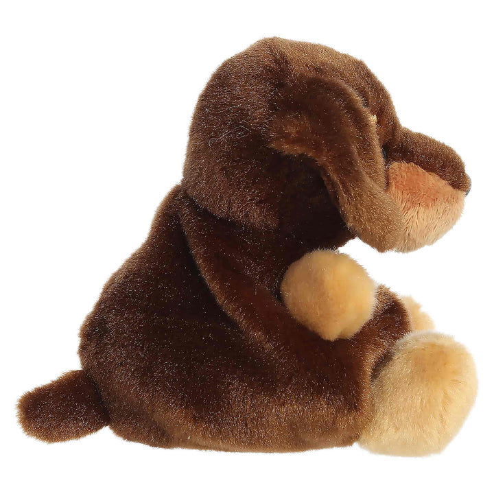 Palm Pals™ Houdini Dachshund™ 5" Plush