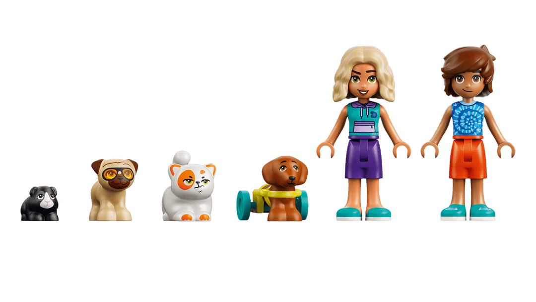 Lego® Friends Fun Water Park Day