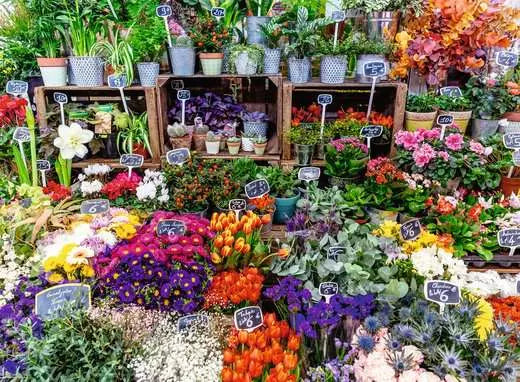 Ravensburger Flower Market, France 500pc Jigsaw Puzzle