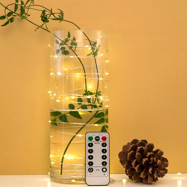 Extra Long! Silver String Lights