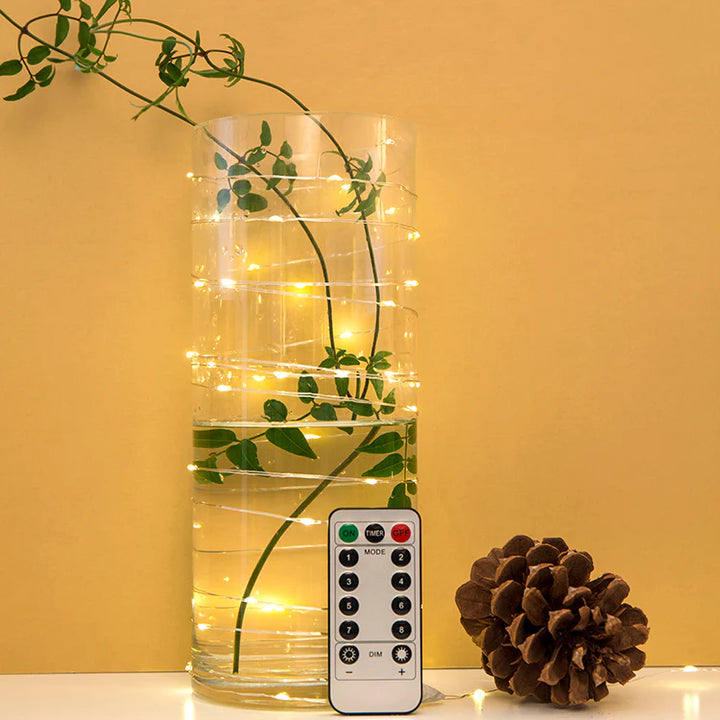 Extra Long! Silver String Lights