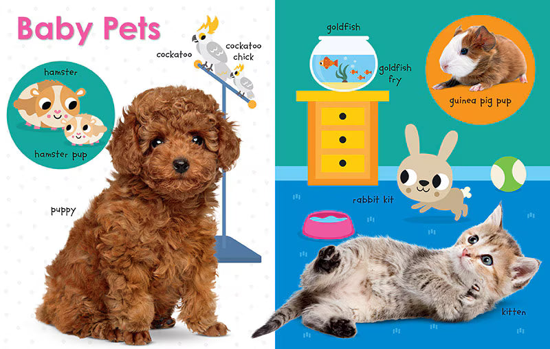 My First Canadian: Baby Animals