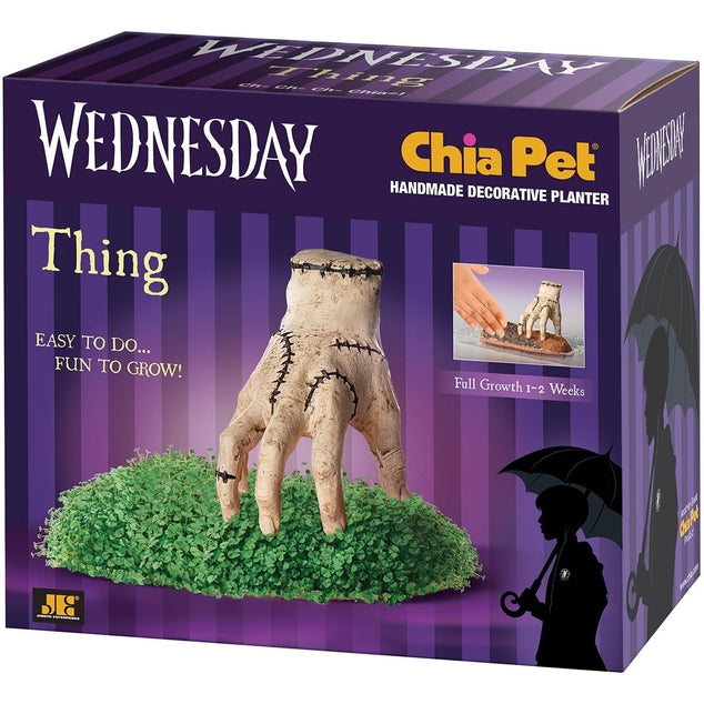 Chia Pets Thing- Wednesday