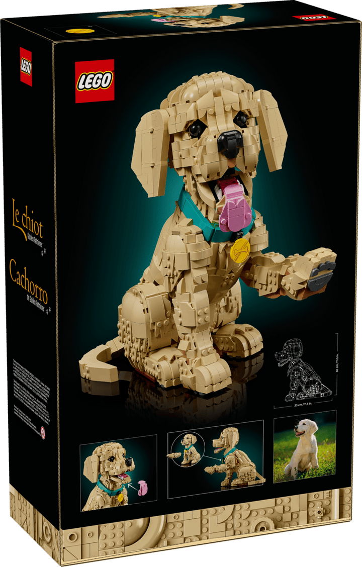 Lego® Icons Golden Retriever Puppy