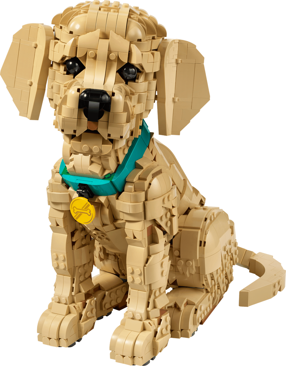 Lego® Icons Golden Retriever Puppy