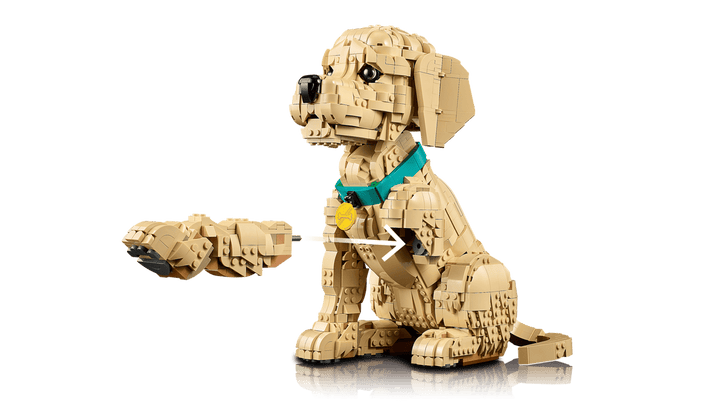 Lego® Icons Golden Retriever Puppy