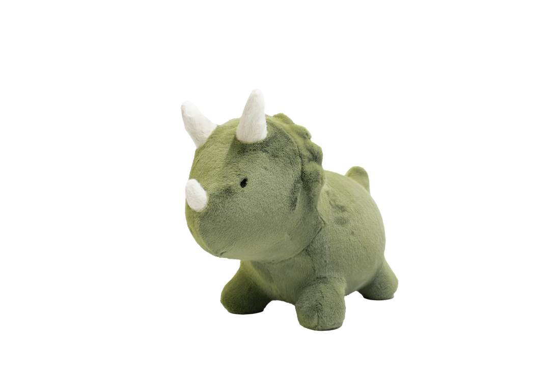 Wild &amp; Soft Bouncy Dino