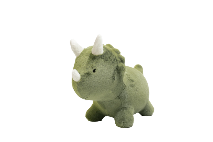 Wild &amp; Soft Bouncy Dino