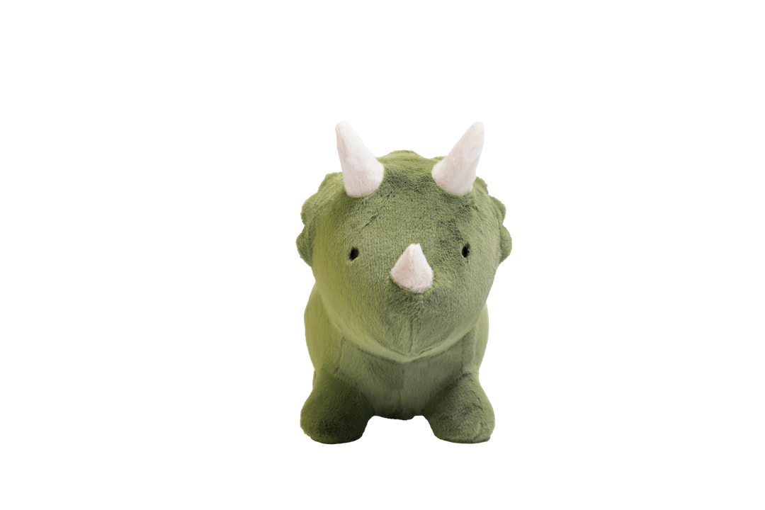 Wild &amp; Soft Bouncy Dino