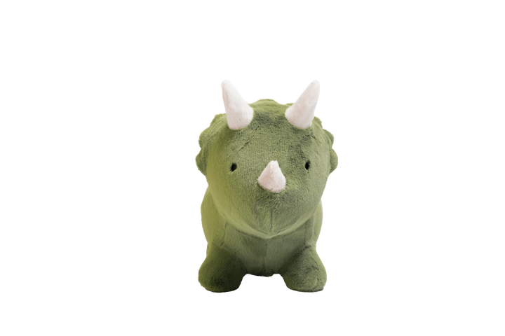 Wild &amp; Soft Bouncy Dino