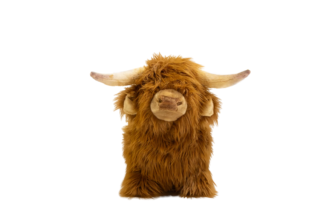 Wild &amp; Soft Bouncy Highland Cow