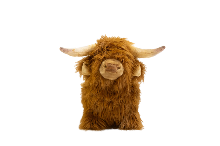 Wild &amp; Soft Bouncy Highland Cow