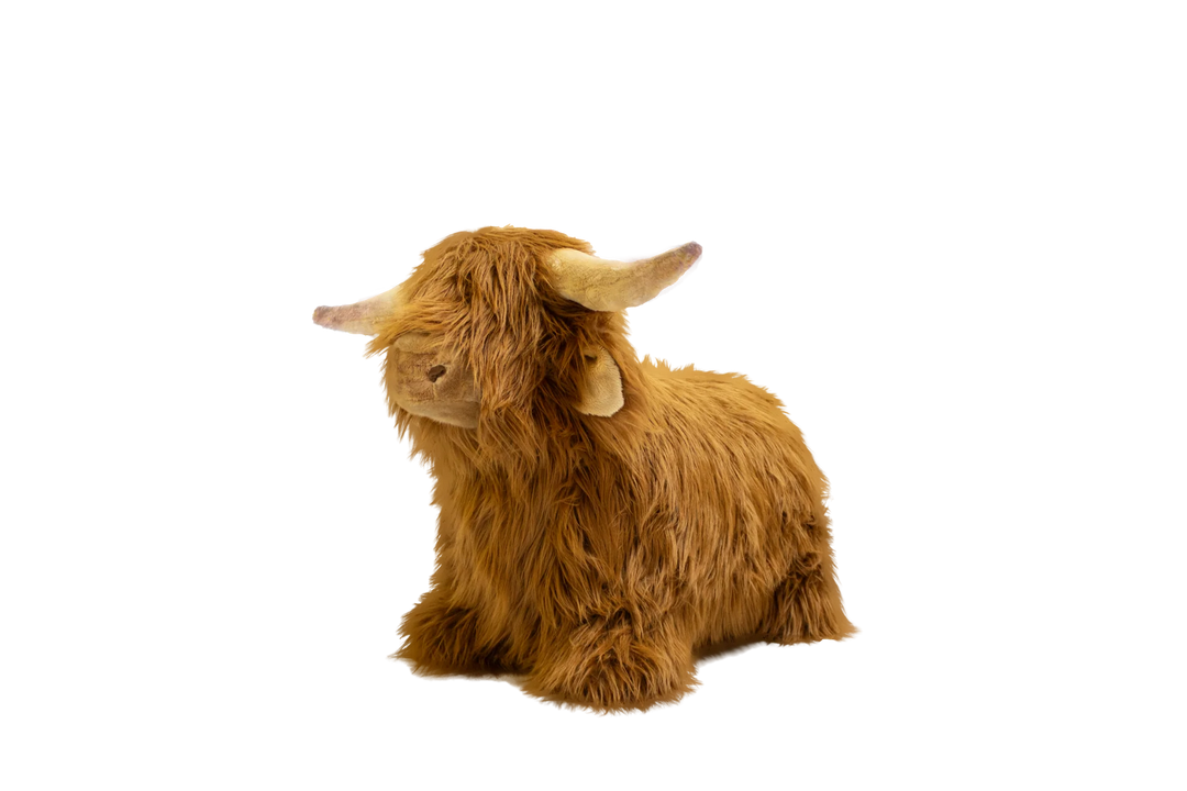Wild &amp; Soft Bouncy Highland Cow