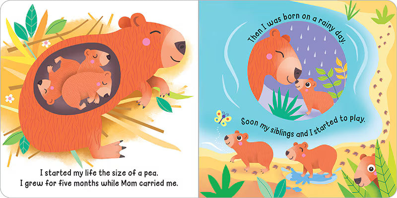 Hello! My Name Is . . . Capybara