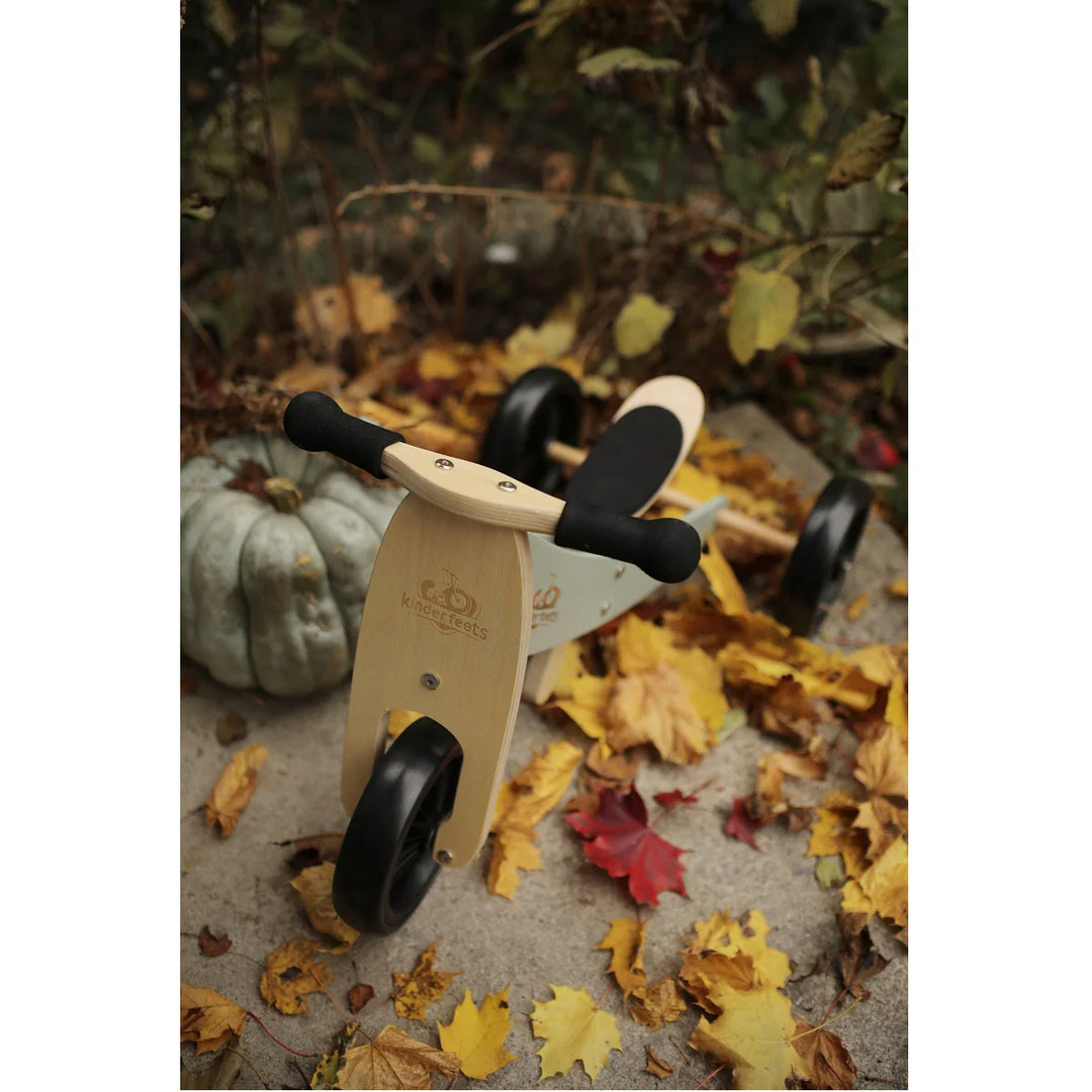 Kinderfeets Tiny Tot Plus Bike - Silver/Sage