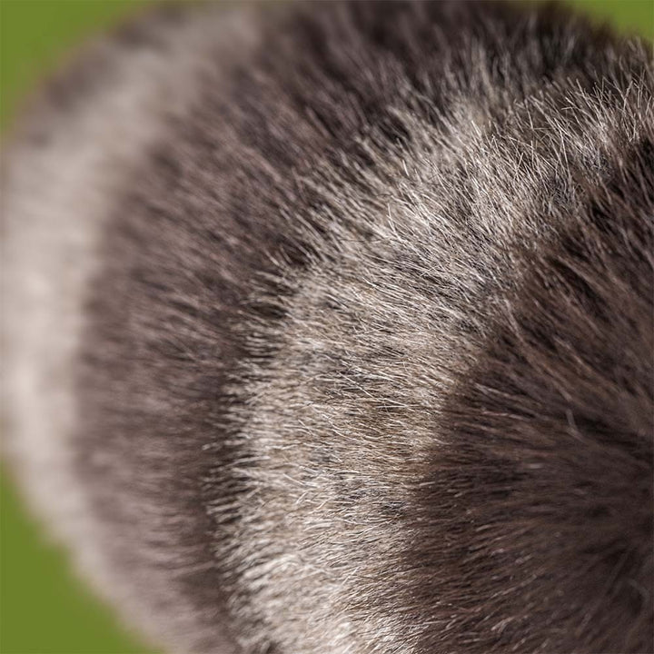 Jellycat Trixiwoo Raccoon - LIMIT OF ONE PER CUSTOMER