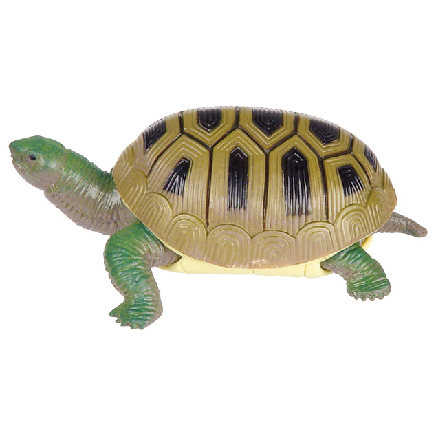 Turtle Squishimals