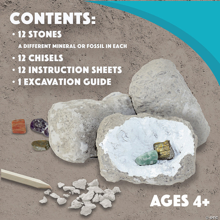 Dig It Up! Minerals And Fossils
