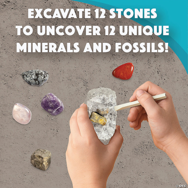 Dig It Up! Minerals And Fossils