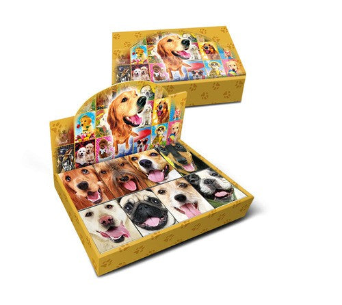 Mini 3D Notebook Dogs Assorted
