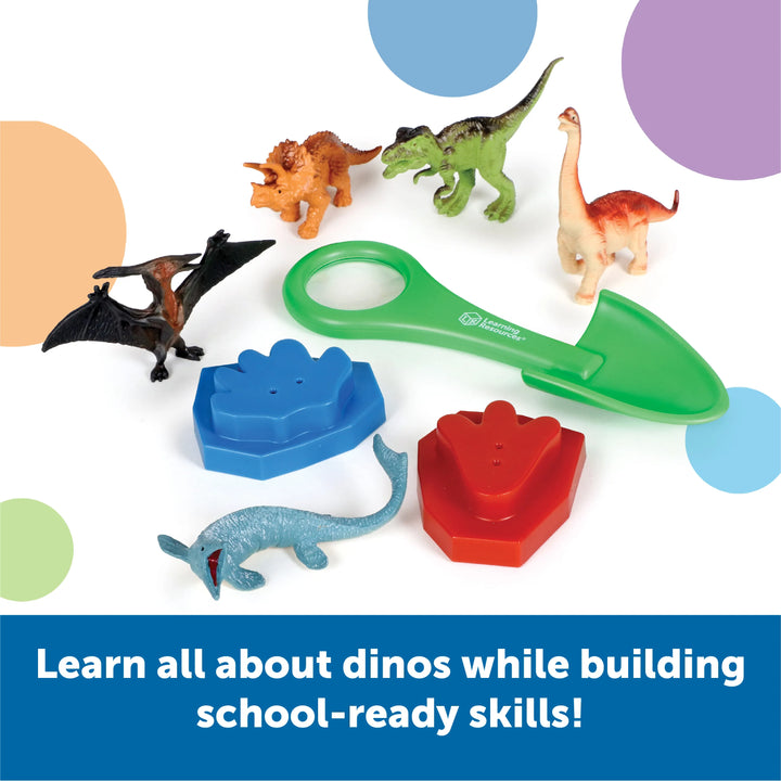 Dinosaur Activity Set
