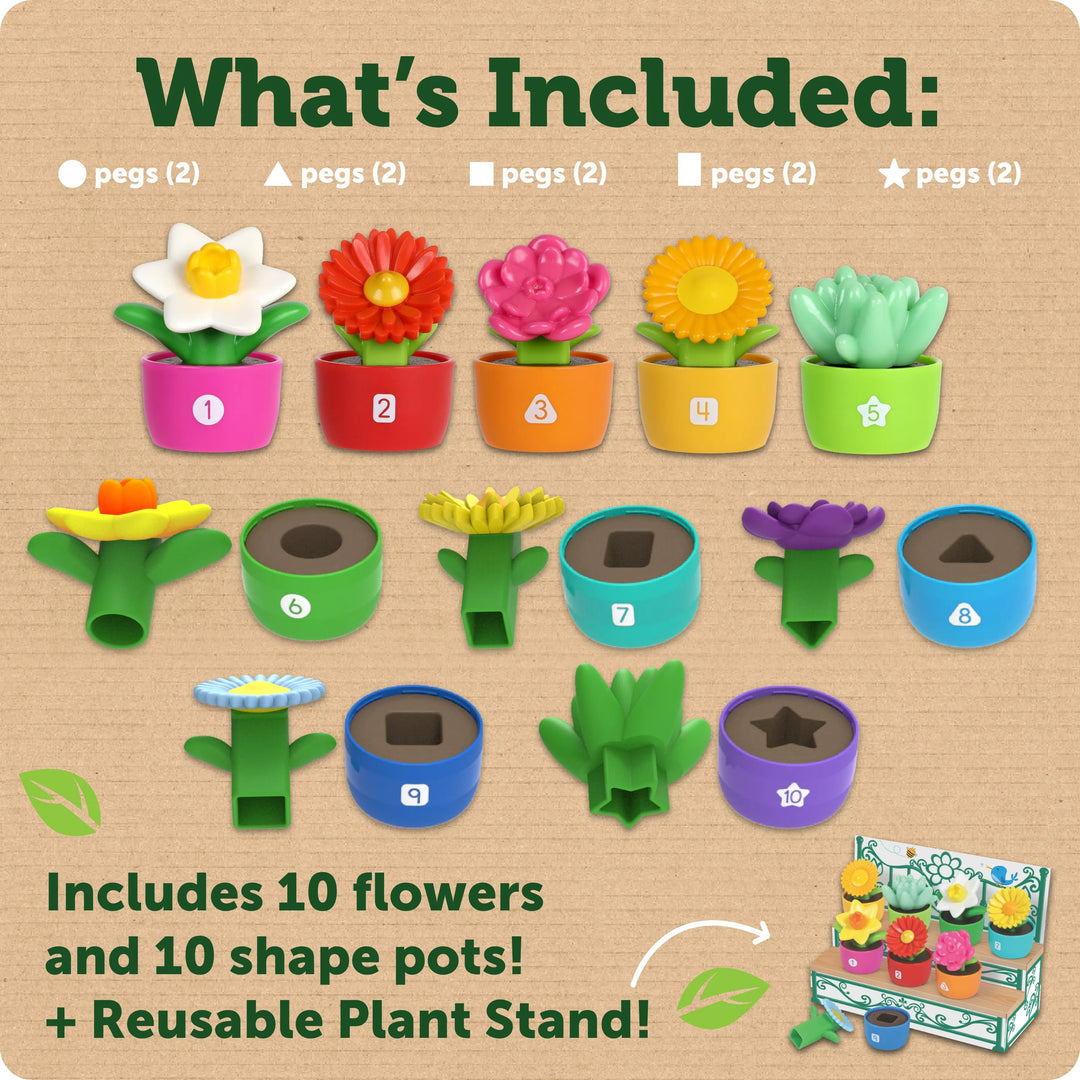 Shape & Colour Garden