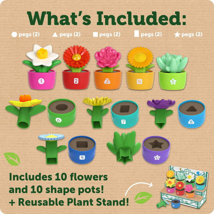Shape & Colour Garden
