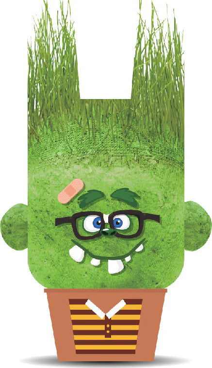 Hape Plant Pals Monsters