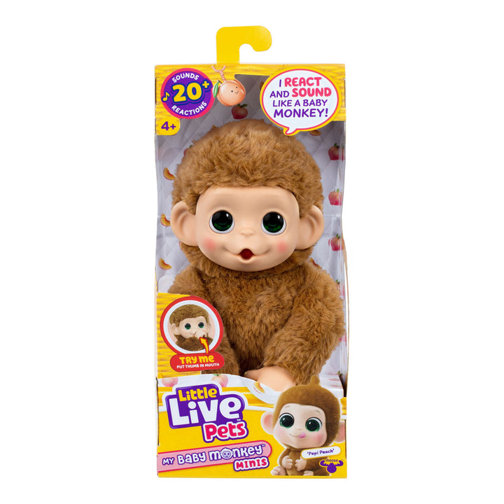 Little Live Pets My Baby Mini Monkey Assortment