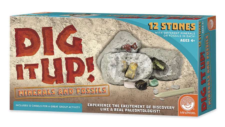 Dig It Up! Minerals And Fossils
