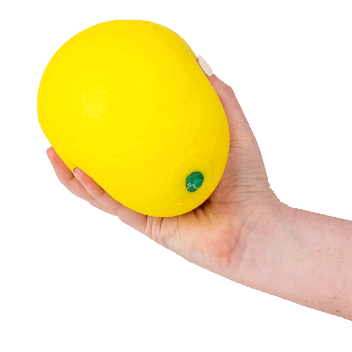 Jumbo Squishy Lemon