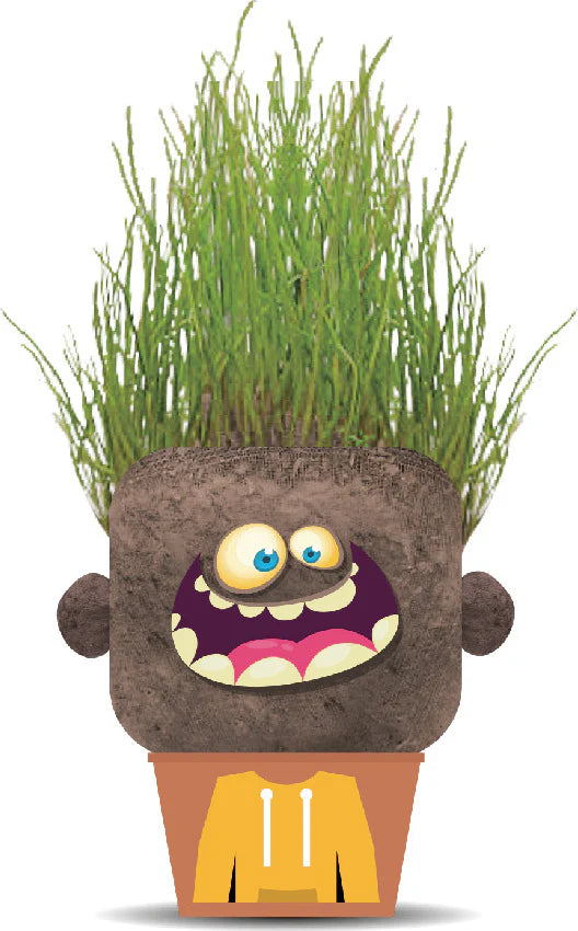 Hape Plant Pals Monsters