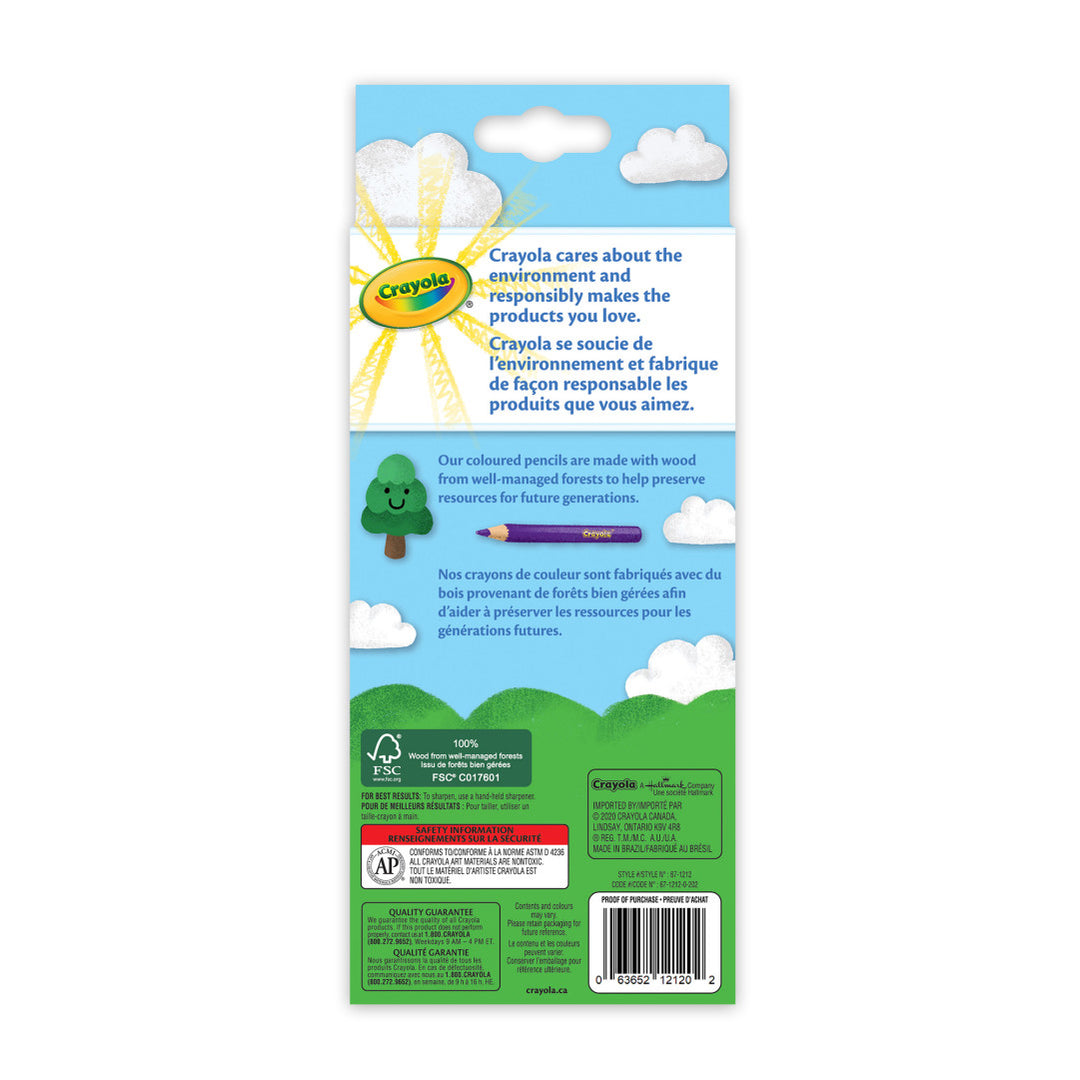 Crayola Erasable Coloured Pencils 12ct