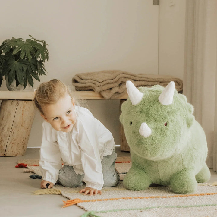 Wild &amp; Soft Bouncy Dino
