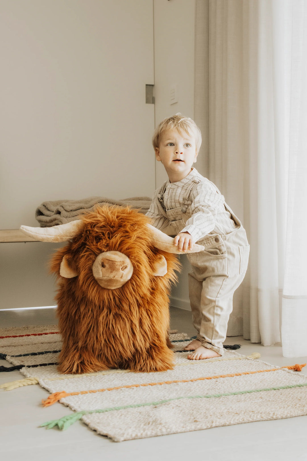 Wild &amp; Soft Bouncy Highland Cow