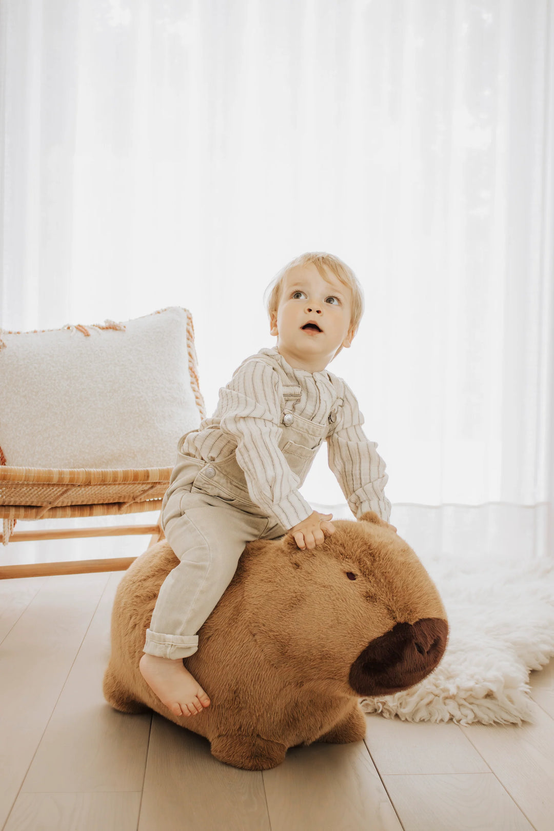 Wild &amp; Soft Bouncy Capybara