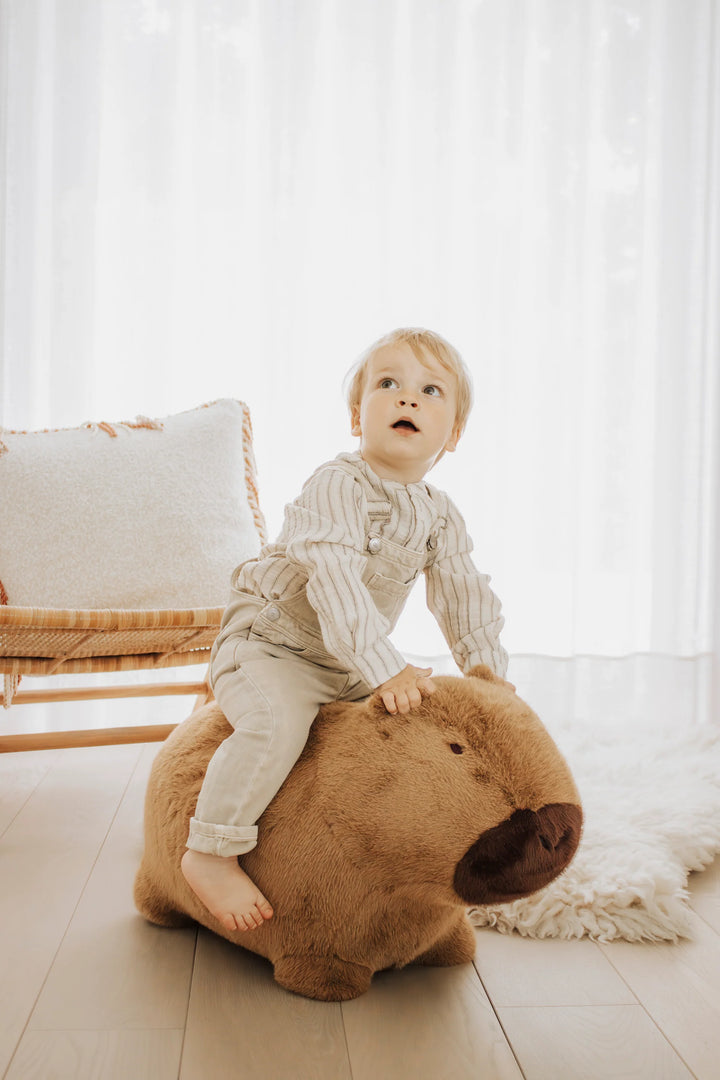 Wild &amp; Soft Bouncy Capybara