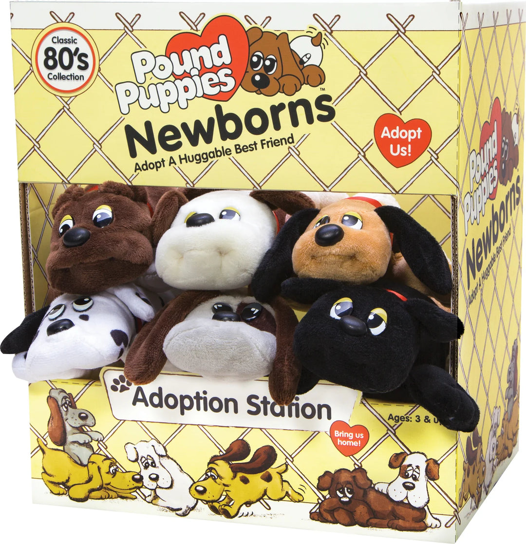 Newborn Pound Puppies
