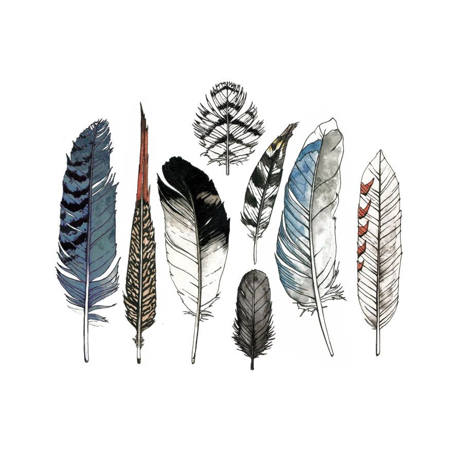 Tattly Watercolor Feather Tattoo Set