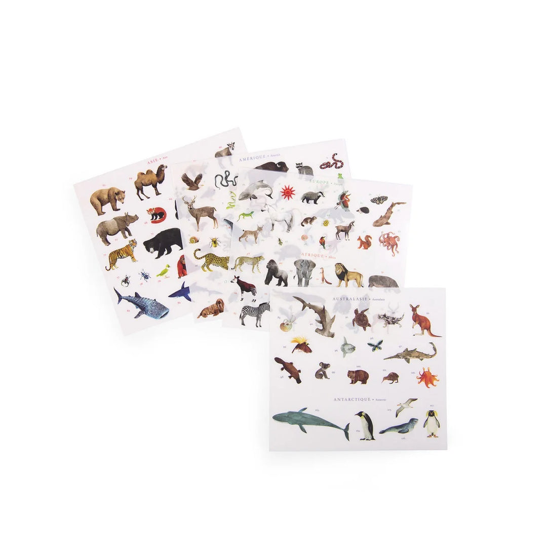 Moulin Roty World Map Transfers