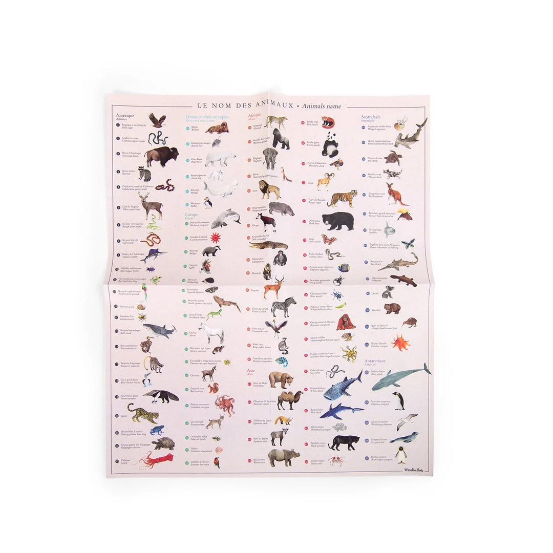 Moulin Roty World Map Transfers