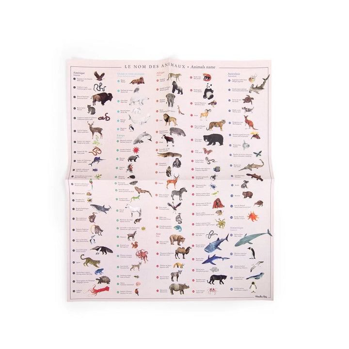 Moulin Roty World Map Transfers