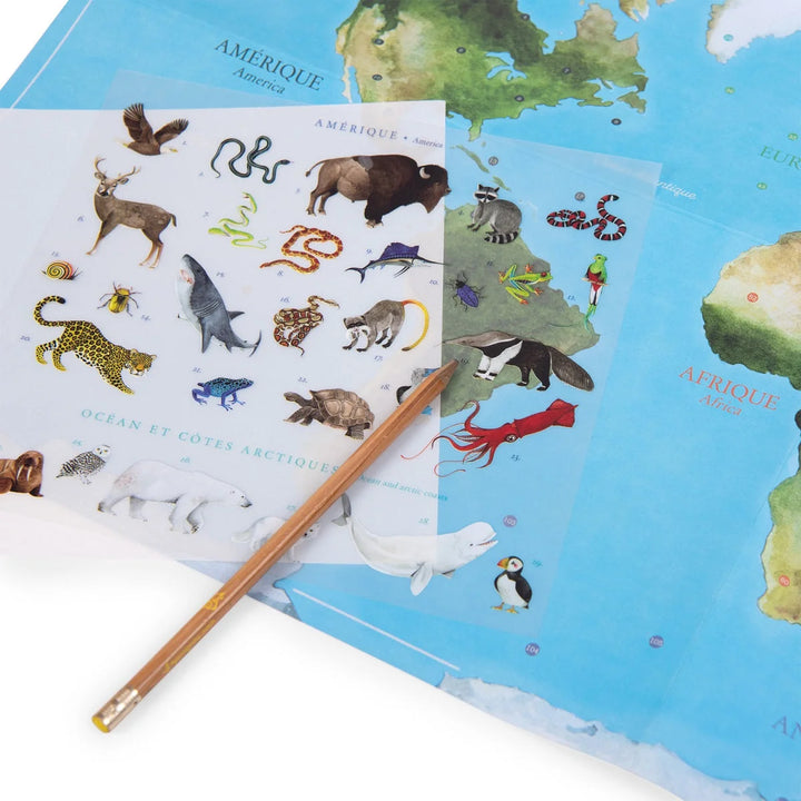 Moulin Roty World Map Transfers