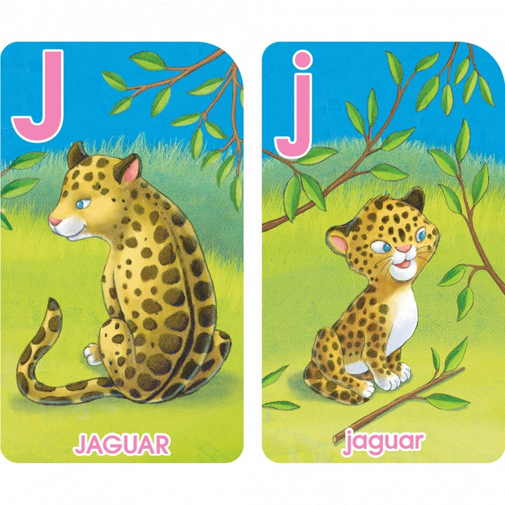 Go Fish Alphabet Flash Cards