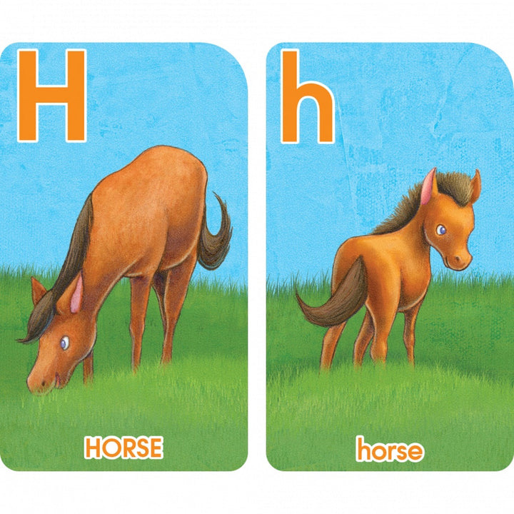 Go Fish Alphabet Flash Cards