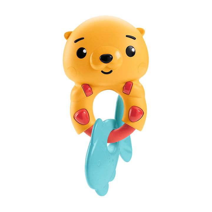 Fisher Price Animal Activity Rings & Things