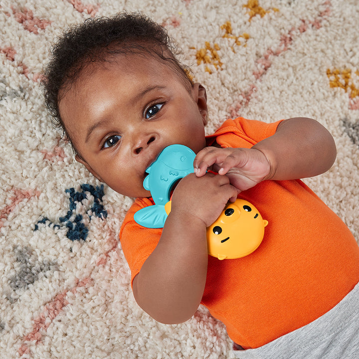Fisher Price Animal Activity Rings & Things