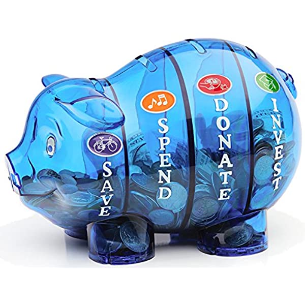 Money Savvy Pig Bank