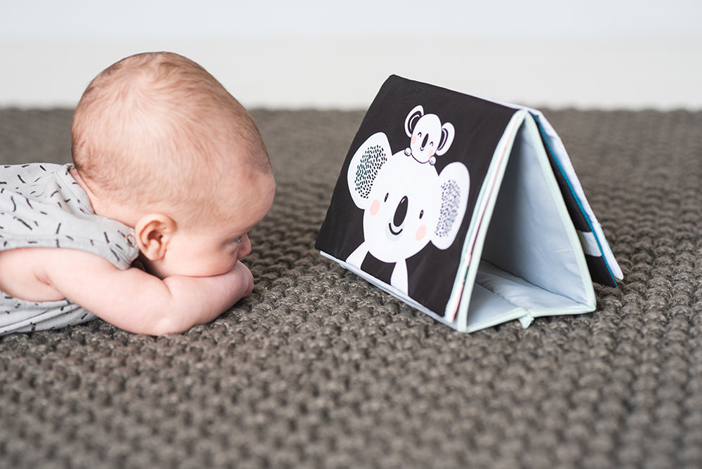 Taf Toys Tummy Time Book