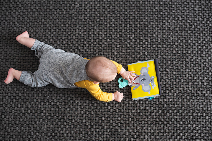 Taf Toys Tummy Time Book